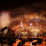 99d25979-5fdb-4d44-a428-a1e7b8a0d505