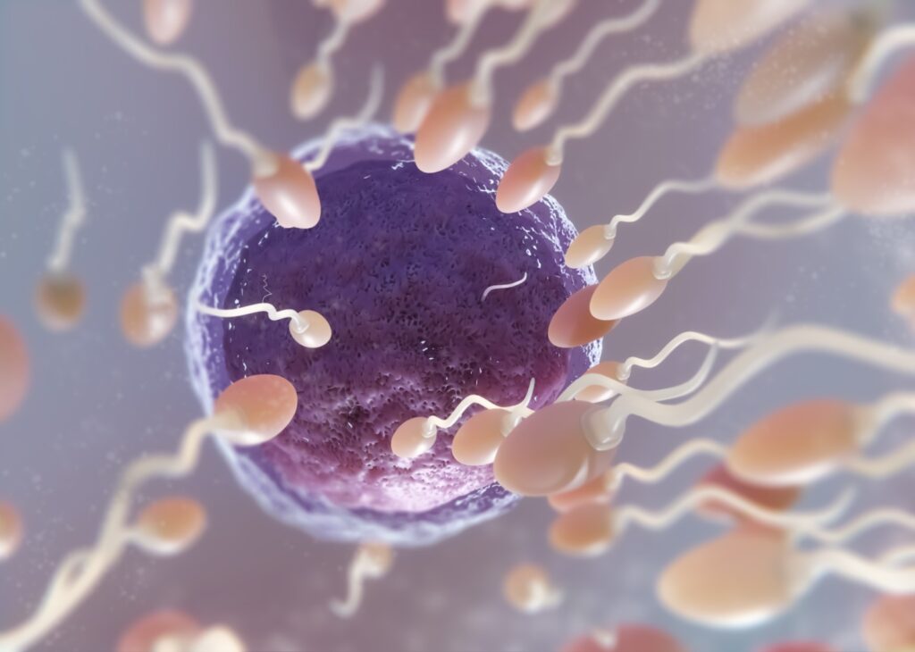 La nueva era de la fertilidad: dos décadas de avances científicos en México. El arte de disfrutar con estilo y sentido.