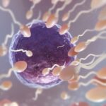 Imagen de WhatsApp 2025-12-02 a las 09.20.42_cc3fbe3f