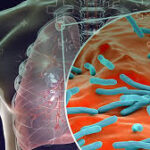 WhatsApp Image 2025-12-17 at 3.25.18 PM