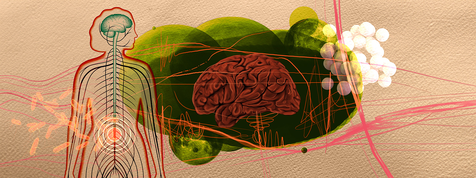 gut-brain-axis-1600×600