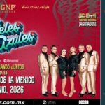 image_processing20251201-8-mv47ip