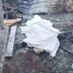 695693cf81c16.r_d.565-408-9227