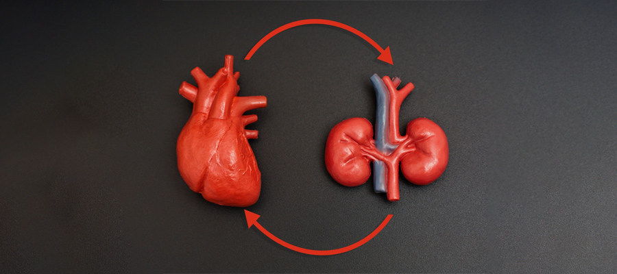 cardiorenal-syndrome