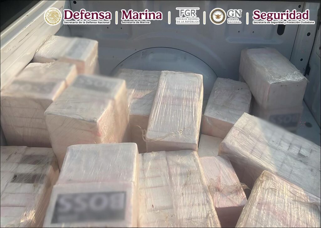 Decomisan media tonelada de droga en aeronave clandestina en Oaxaca: García Harfuch
