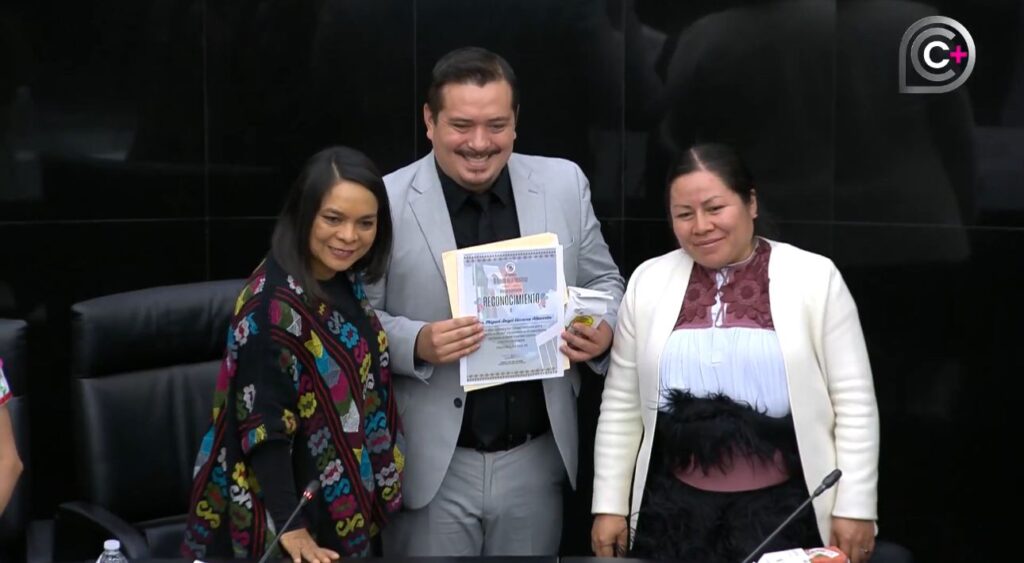 Necesarios traductores en hospitales para pueblos indígenas: Beatriz Mojica