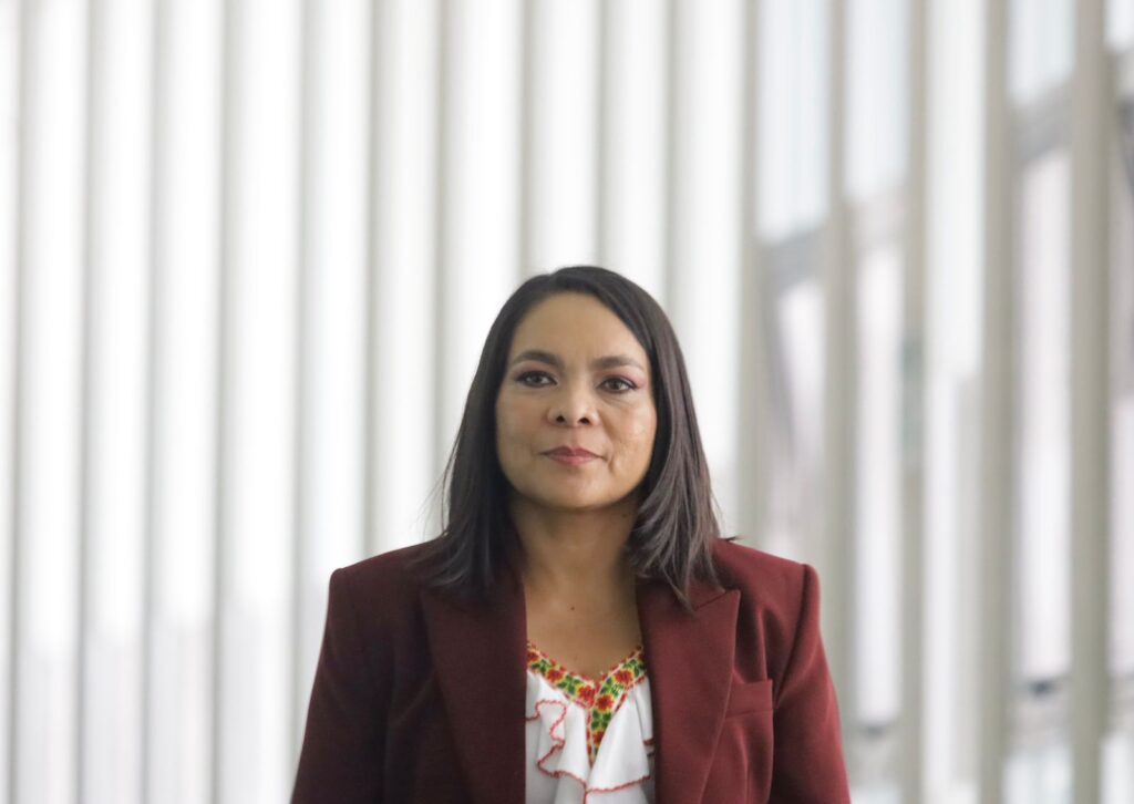Todo el apoyo a la reforma electoral de la presidenta Claudia Sheinbaum: Beatriz Mojica