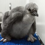 photo_2026-02-12_13-17-03 (2)