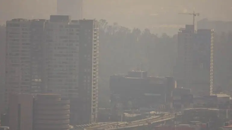 proyecta-came-mas-11-contingencias-2026