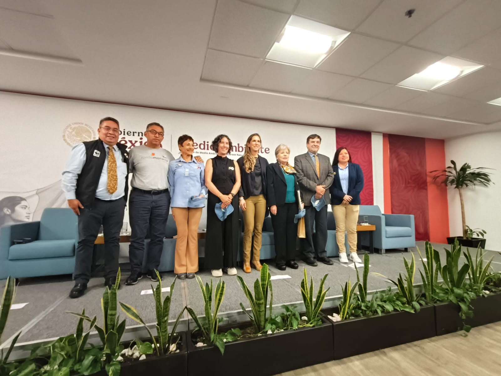 La presencia de la mariposa Monarca aumenta 64% en los bosques de hibernación mexicanos