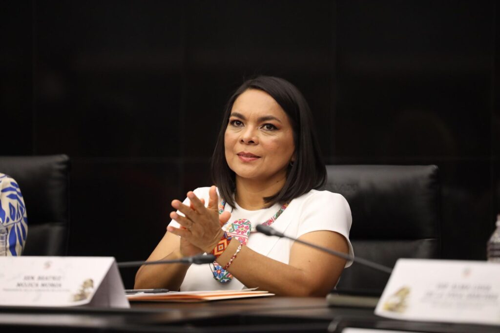 Unidad y fortalecimiento territorial, ejes de la VII Sesión del Consejo Nacional de Morena: Mojica Morga