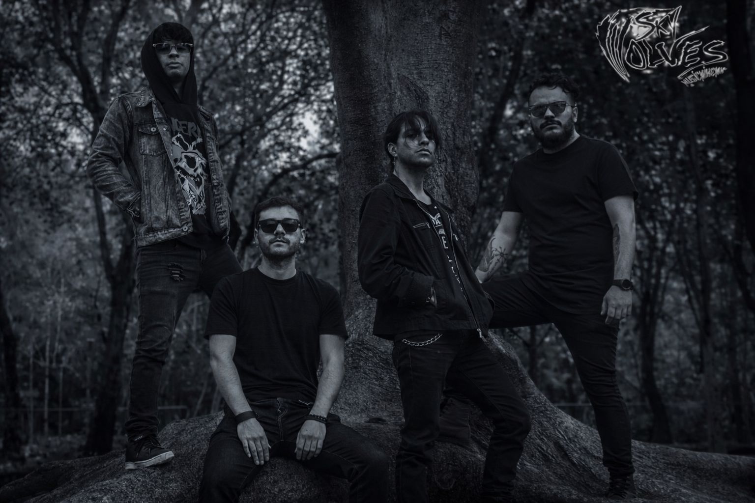 SKYWOLVES LLOVIENDO ESTRELLAS FOTO2