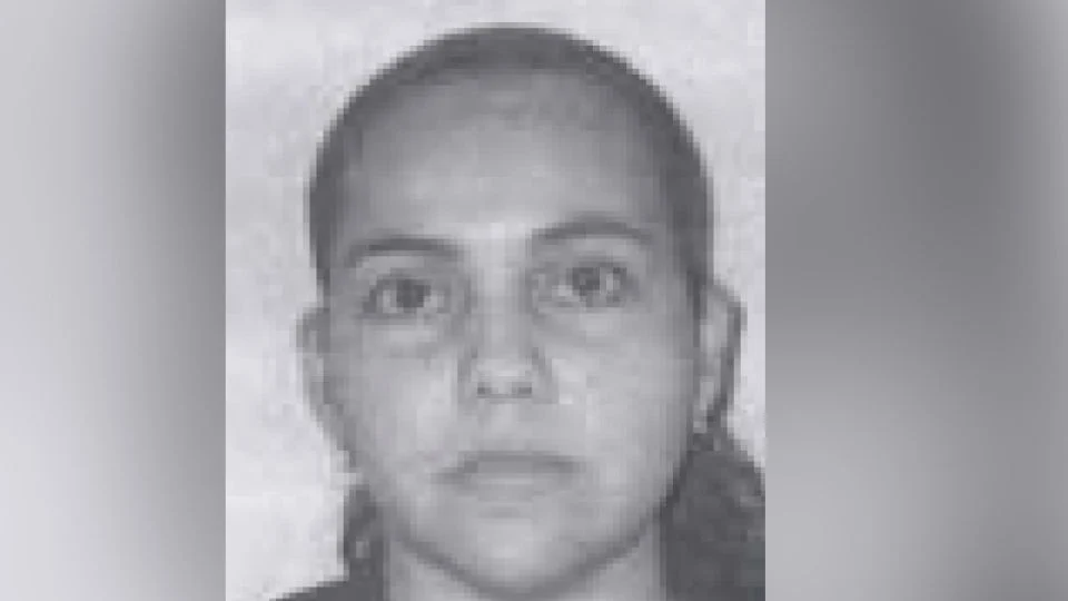 c1121499-e99d-45bc-93d8-5b1ee4f2ae18