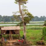 f960x540-143201_217276_5050