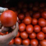 69d7b44d4a807.r_d.1398-1000-4292