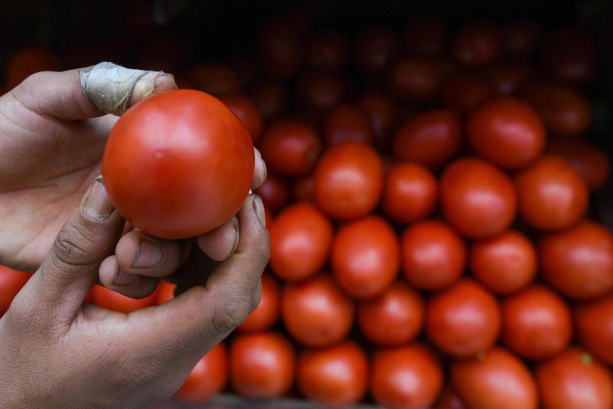 69d7b44d4a807.r_d.1398-1000-4292