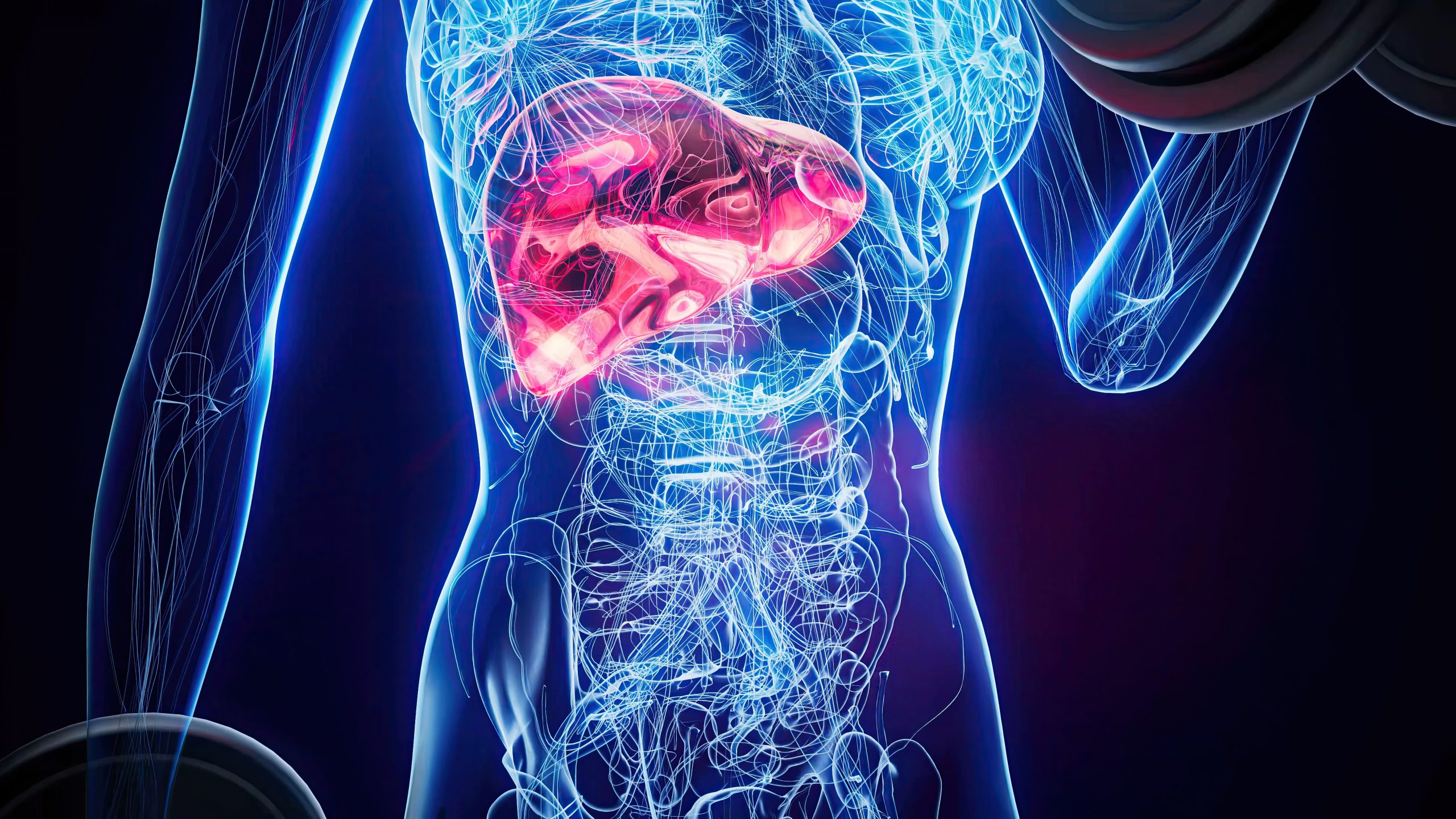 Anatomy_Siemens Healthineers.jpg