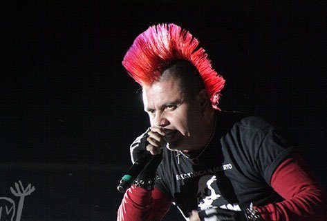 LAGARTO METUNK FOTO1