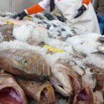 pescados_baratos_nueva_viga_semana_santa_2026