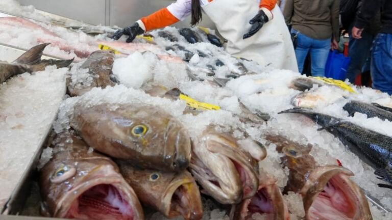 pescados_baratos_nueva_viga_semana_santa_2026