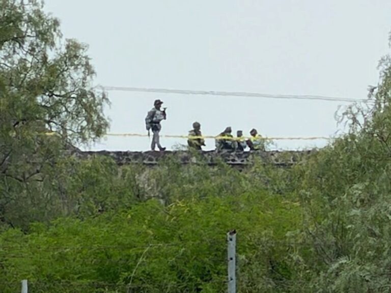 sheinbaum-lamenta-agresion-en-teotihuacan-instruye-al-gabinete-de-seguridad-investigar-a-fondo_1e29f450-811a-459b-87ee-2e9892907e07_medialjnimgndimage=fullsize