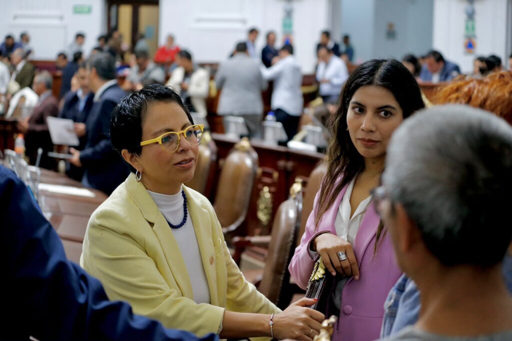 Liz Salgado reconoce decisión del IECM de iniciar procedimiento especial sancionador contra López Casarín por promoción personalizada