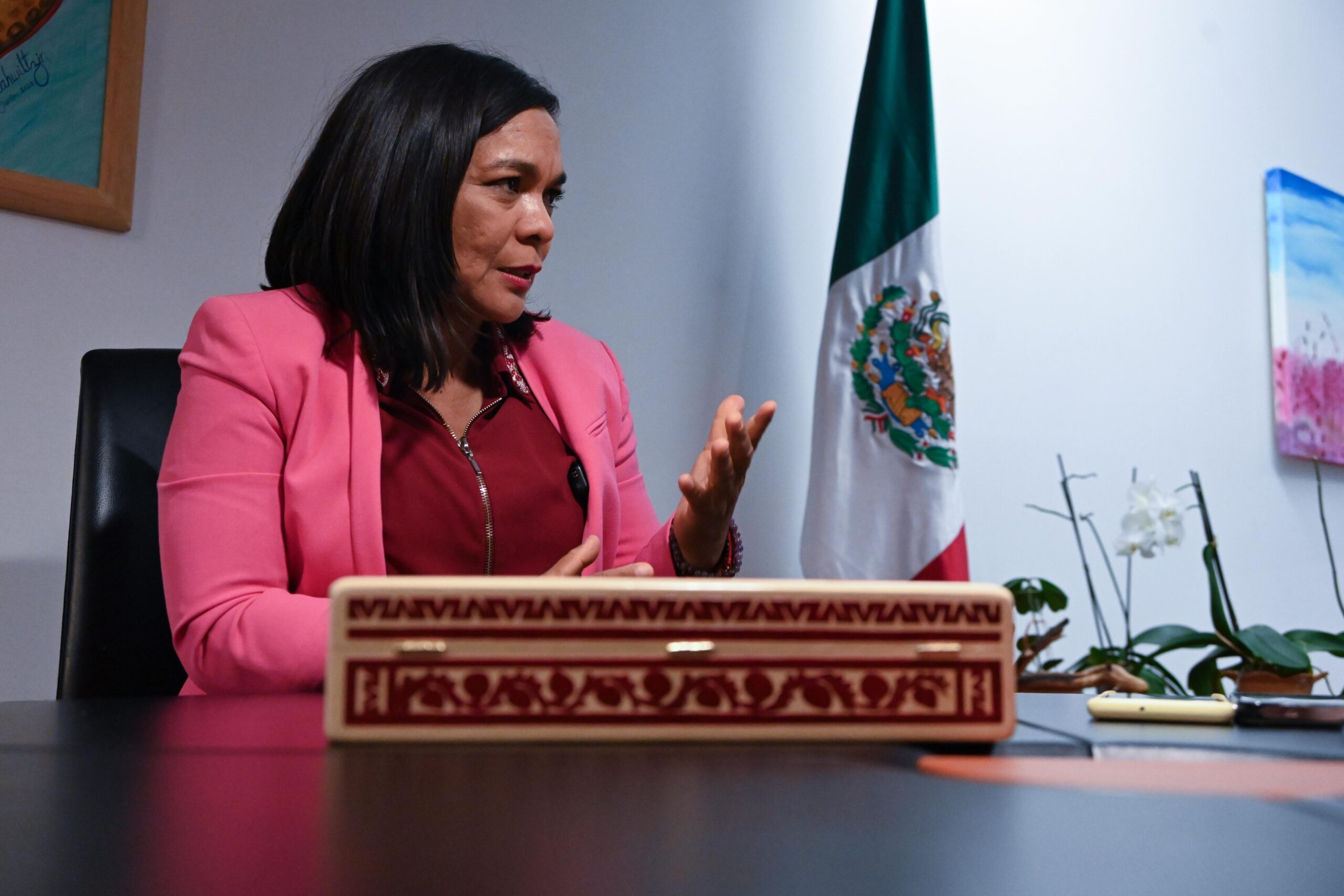 Entrebista senadora