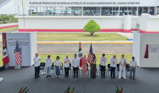 Planta de mosca estéril en Chiapas, ejemplo de cooperación estratégica entre México y Estados Unidos