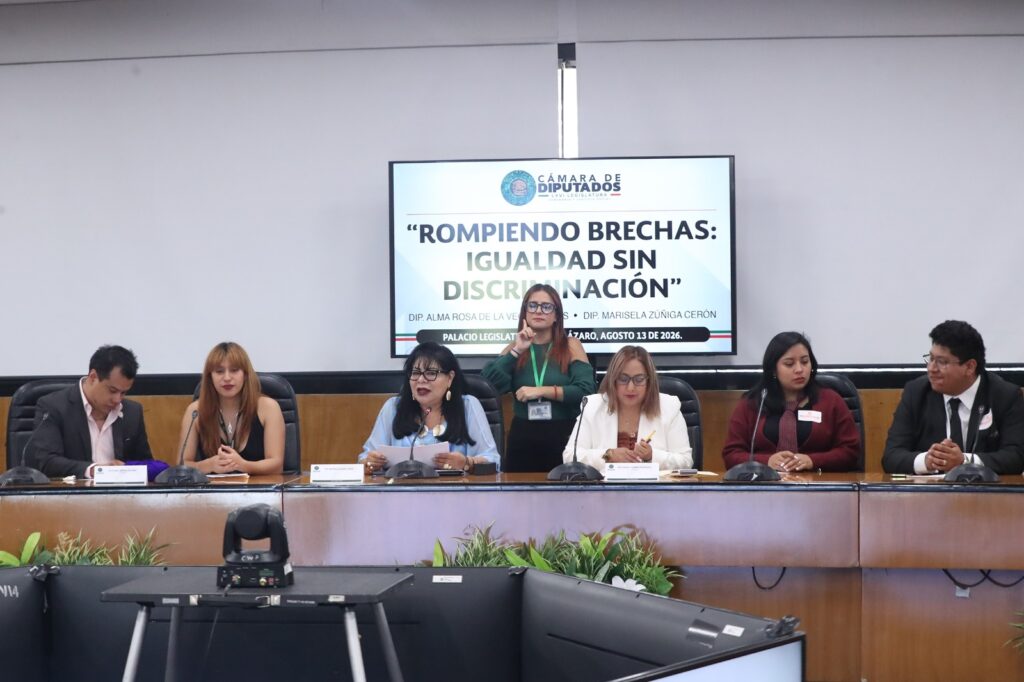 Se debe fortalecer Norma Mexicana NMX-R-025-SCFI-2015 para garantizar igualdad laboral, inclusión y no discriminación laboral: Marisela Zúñiga