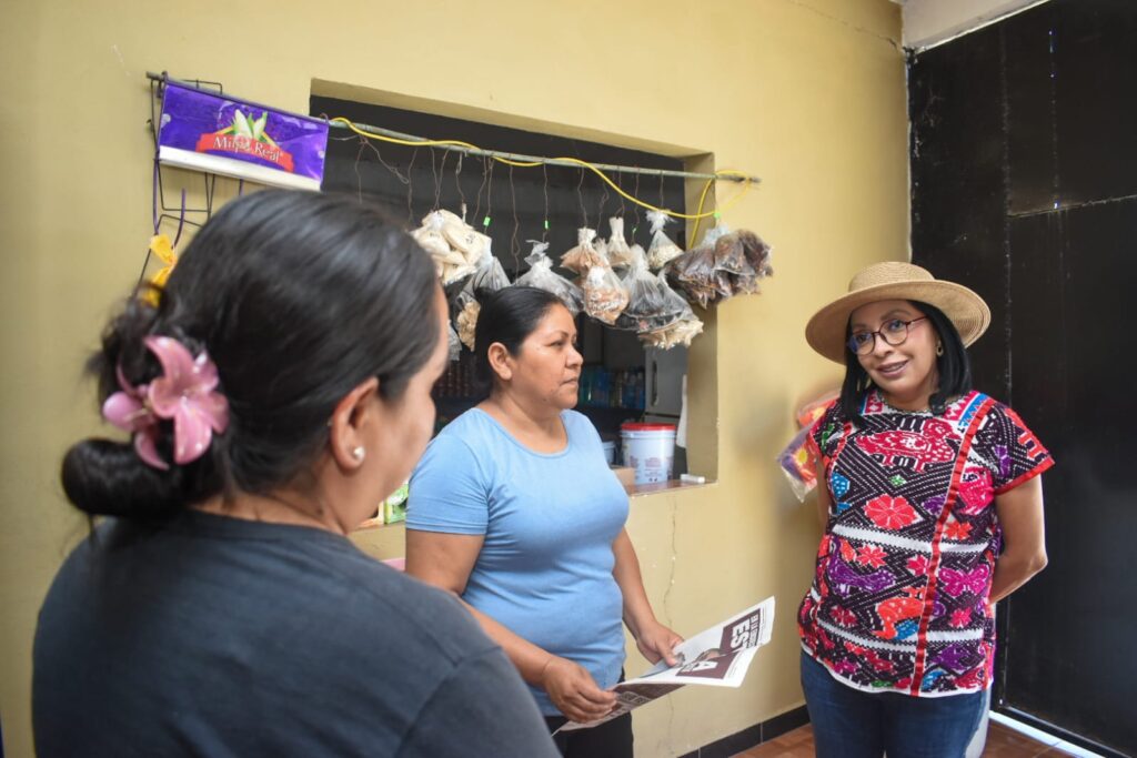 Esthela Damián recorre Taxco el Viejo casa por casa para promover la defensa de la soberanía nacional