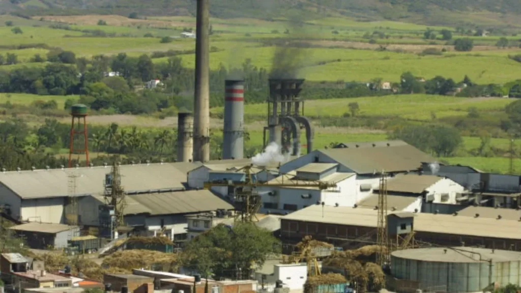 Industria azucarera mexicana, entre el desplome de precios, el contrabando y la presión del JMAF