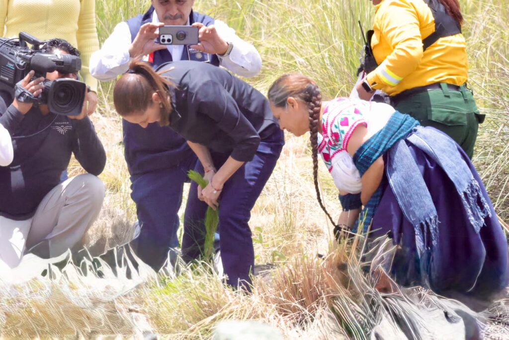 Sheinbaum convierte la reforestación en política nacional; arranca en Puebla jornada para plantar 6.6 millones de árboles