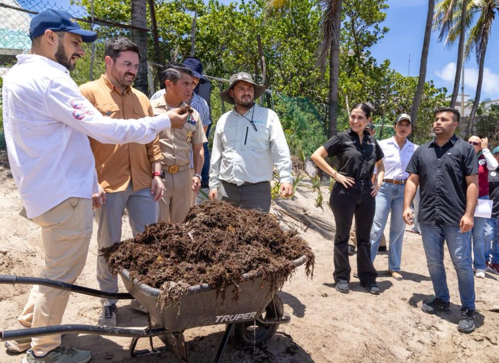 Sargazo obliga a replantear estrategia turística y ambiental en Quintana Roo