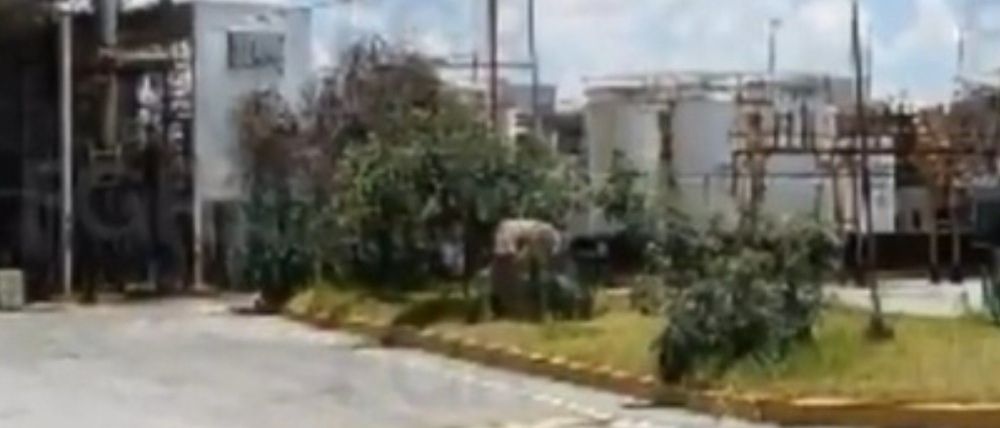 Desmantela FGR 4 centros de combustible ilegal en Hidalgo, Morelos y SLP