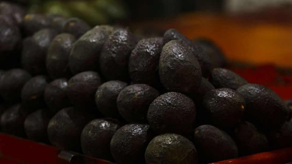 EU reabre la puerta al aguacate michoacano, pero mantiene la alerta de viaje