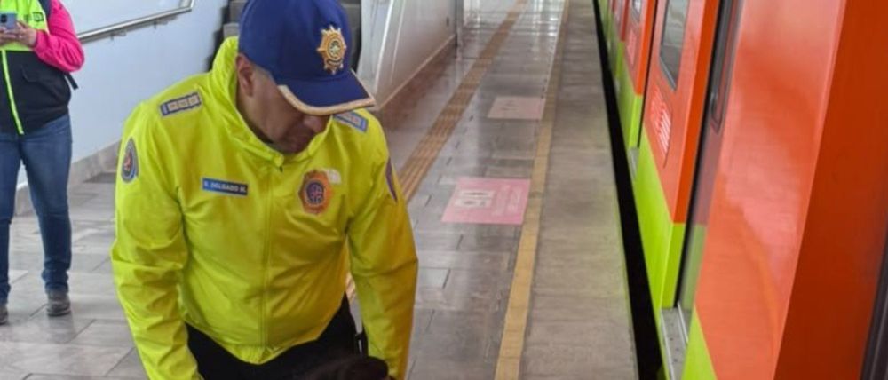 Fallece persona tras presuntamente arrojarse a las vías en la estación Tlaltenco de la Línea 12 del Metro