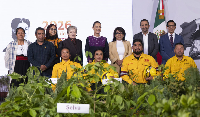 Sheinbaum presenta cruzada ambiental para plantar 6.6 millones de árboles en todo el país