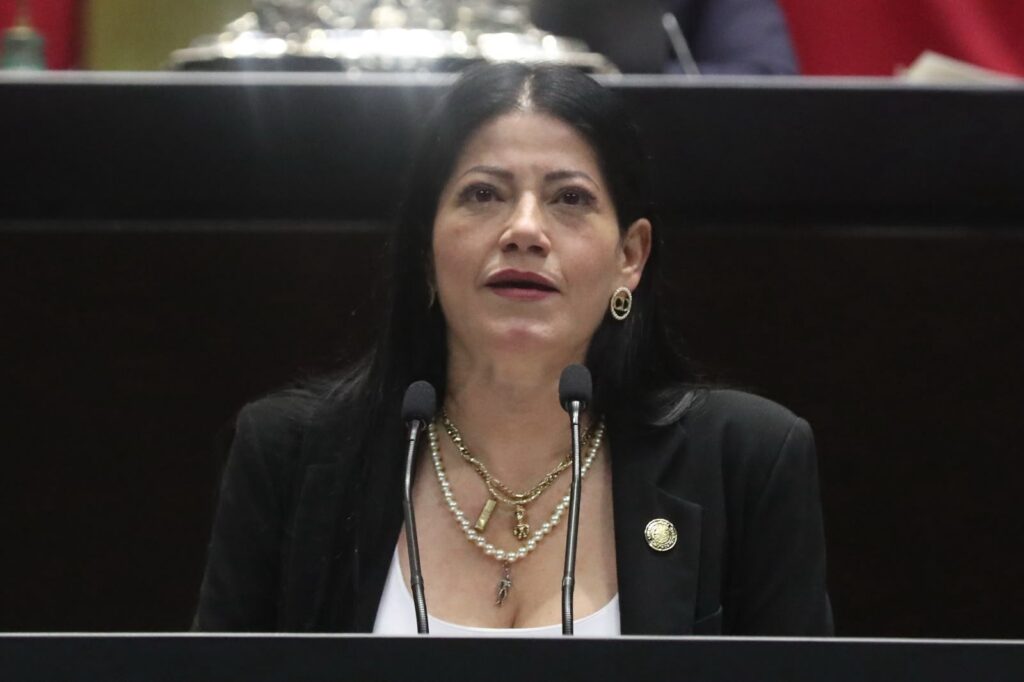 Proponen incorporar en la estrategia de inteligencia para la seguridad pública el interés superior de la niñez y la adolescencia