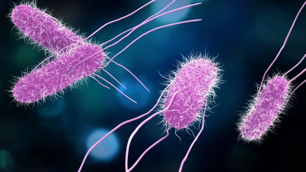 Cuando una infección gastrointestinal no espera: el valor de un diagnóstico oportuno. El arte de disfrutar con estilo y sentido.