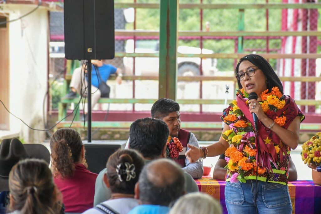 Esthela Damián respalda exigencia de Sheinbaum para esclarecer salida de Taddei del INE