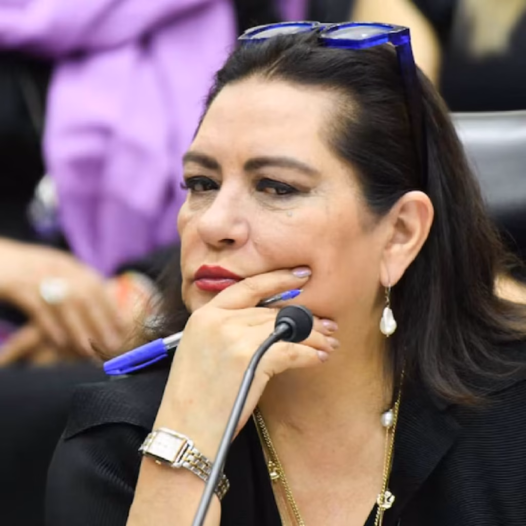 “No me voy”: Guadalupe Taddei descarta renunciar al INE y defiende su permanencia