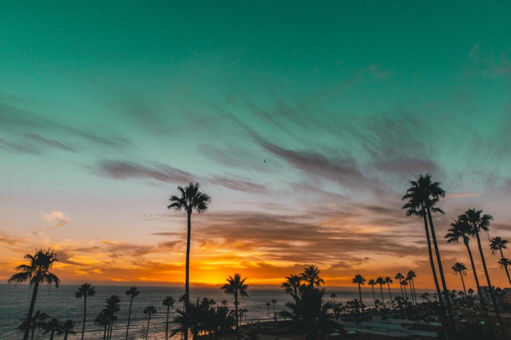 FICCLosCabos anunció los 15 documentales seleccionados de su plataforma de apoyo a la industria con visión local,  La Baja Inspira 2026