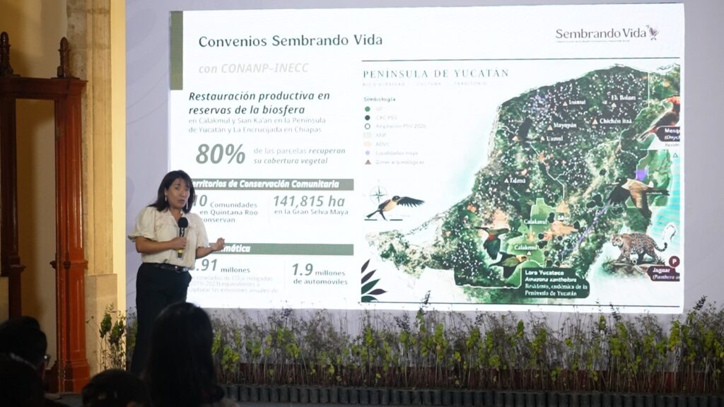 Sheinbaum garantiza continuidad de Sembrando Vida durante todo el sexenio