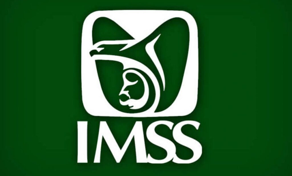Contrataciones millonarias del IMSS adjudicadas con declaraciones falsas